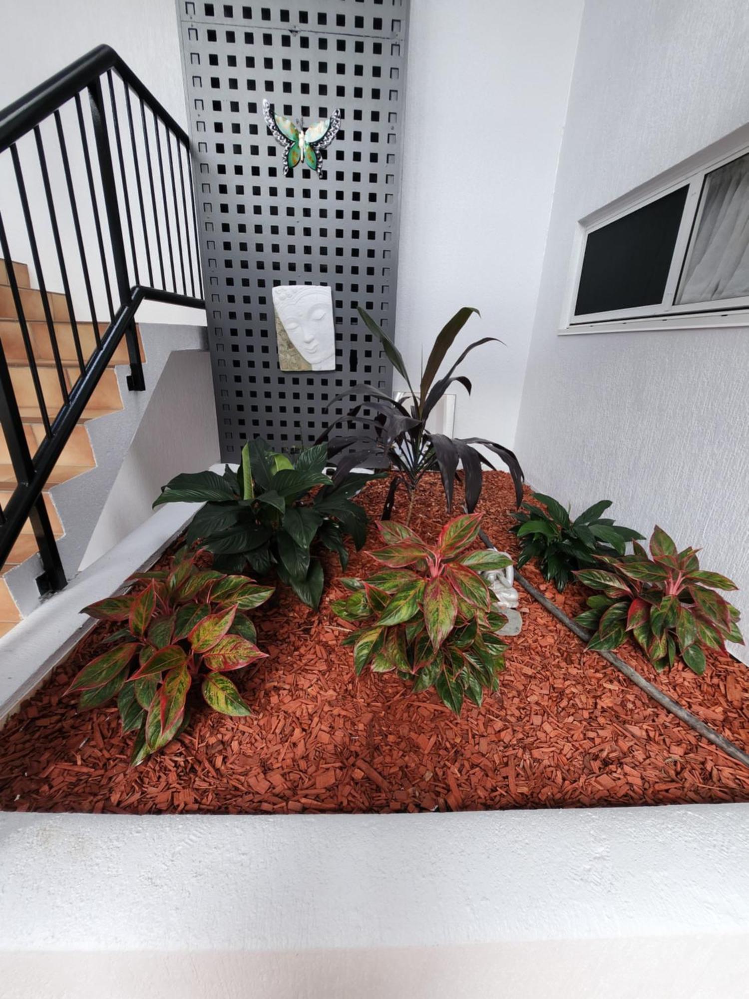 Villa Vaucluse Apartments Cairns Bagian luar foto